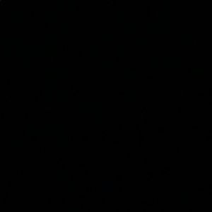 Meet your Posher, Cody